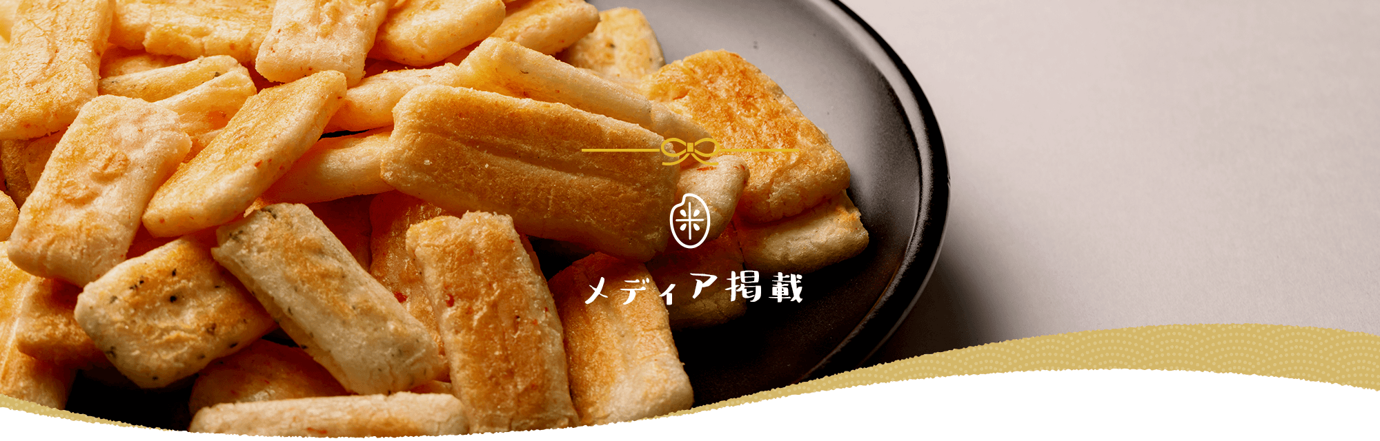 メディア掲載