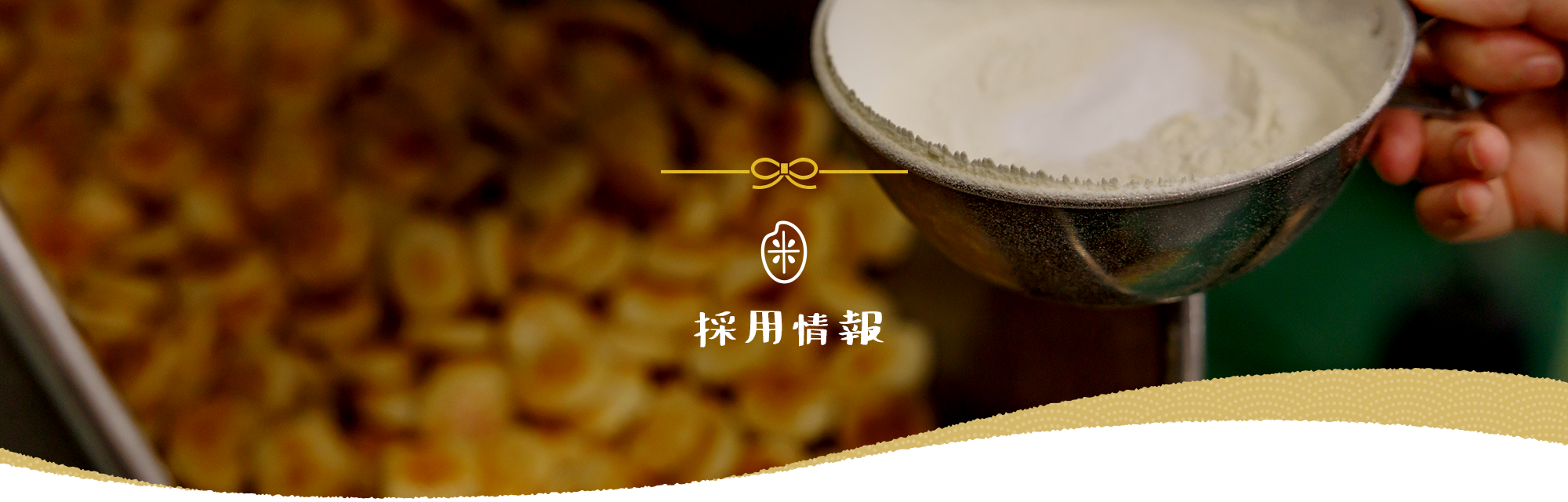 採用情報
